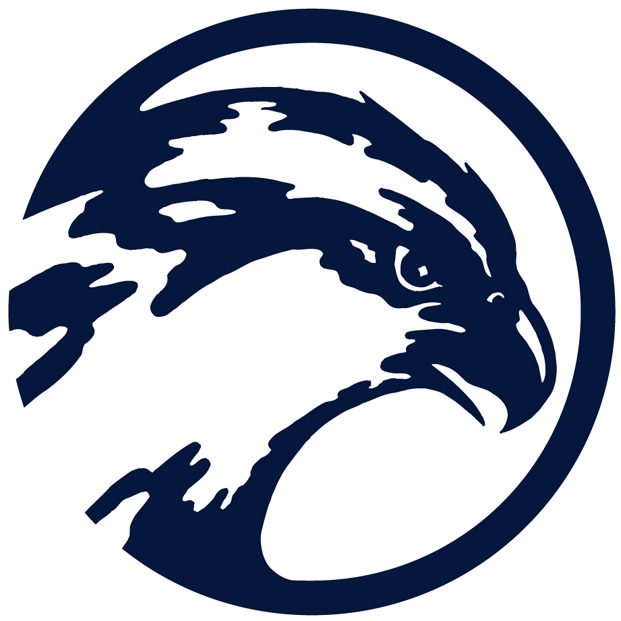 UNF Ospreys 0-1998 Primary Logo diy DTF decal sticker